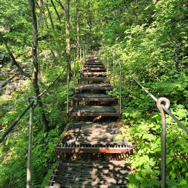 Rocky Roads & Sweet Views All the Way Up