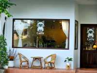 Catfe' คาเฟ่แมวบุรีรัมย์