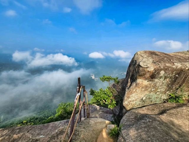 Forest Trails and Heroic Views in Wanju