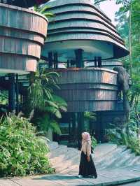 Wyah Not? Hidden Gem in Ubud You Need to Sip At!🌿
