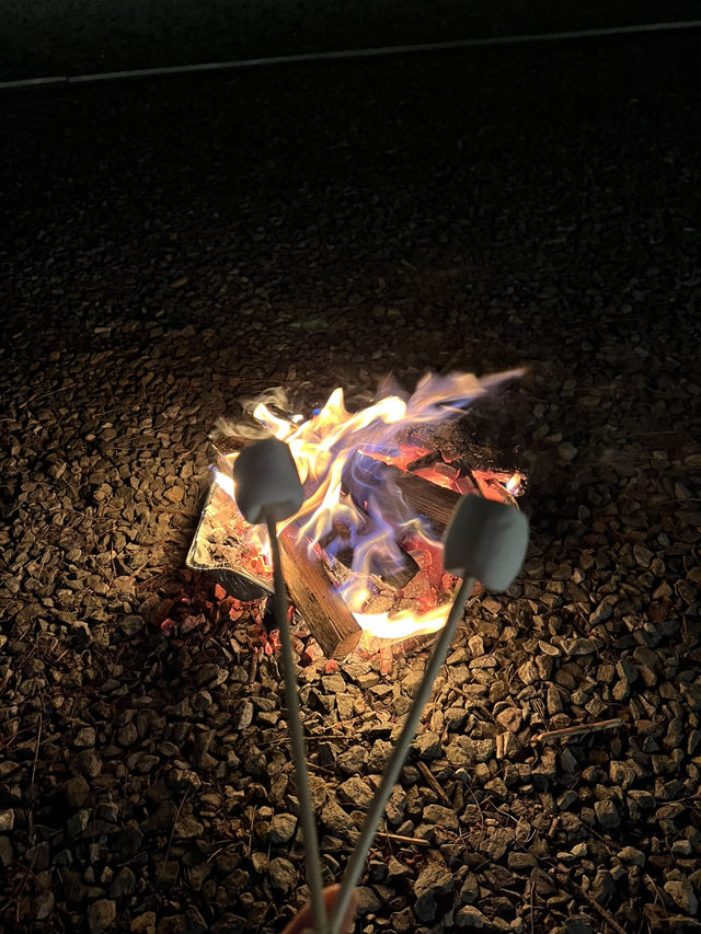 별이 쏟아지는 밤, 홍천 용오름에서 감성 캠핑 🏕️