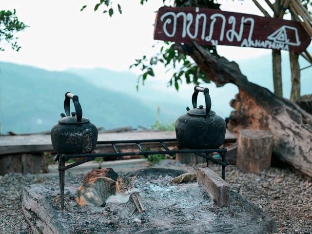 ที่พักและลานกางเต็นท์วิวปังบนดอยช้าง