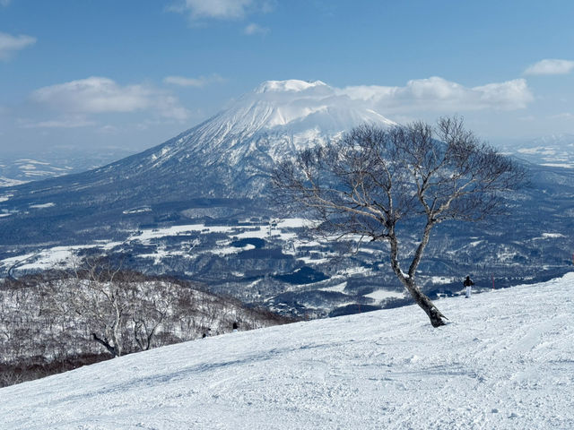 盡亨羊蹄山美景的滑雪場⛷️