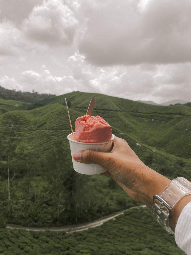 Sip, Shop & Savor: The BOH Tea Boutique Experience