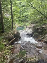 【日光で大自然を満喫する】龍王峡🐲虹見滝🌈虹見橋🌉