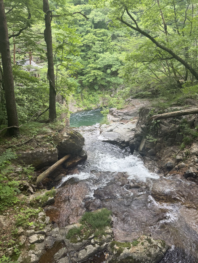 【日光で大自然を満喫する】龍王峡🐲虹見滝🌈虹見橋🌉