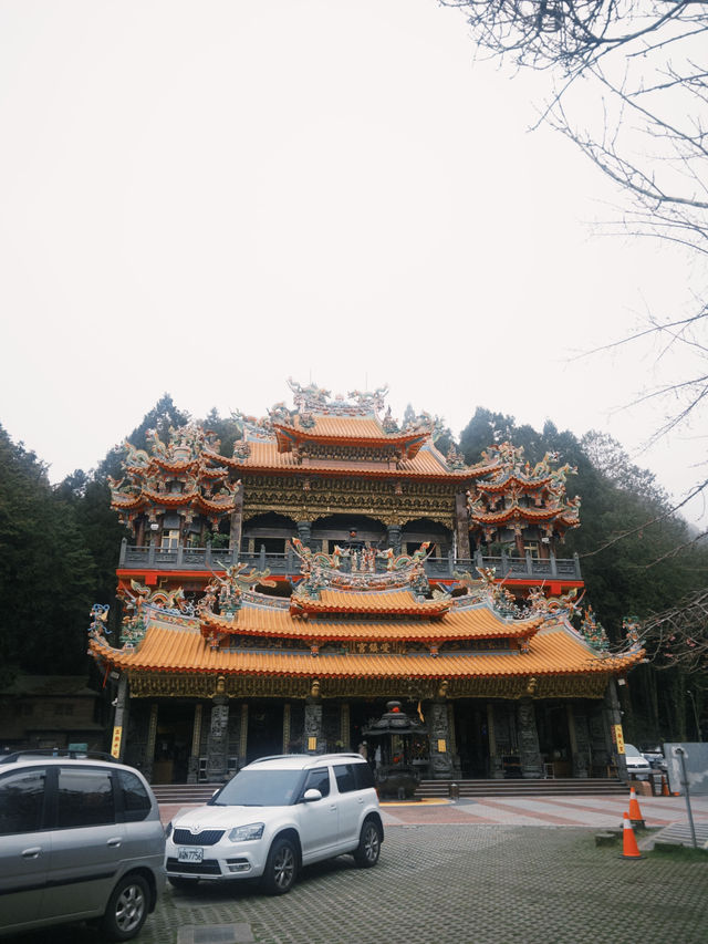 阿里山一日精華遊：與神木、雲海和森林鐵路的邂逅