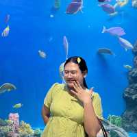 📍Aquarium สมุทรสาคร🐠🪼