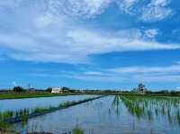 🌈你知道嗎？矗立於稻田中礁溪這座「天空島上的彩虹小木屋」美到像走進童話🌾🏡
