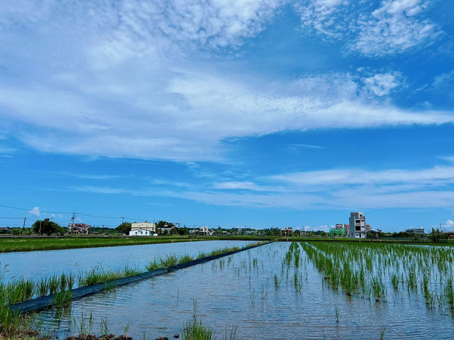 🌈你知道嗎？矗立於稻田中礁溪這座「天空島上的彩虹小木屋」美到像走進童話🌾🏡