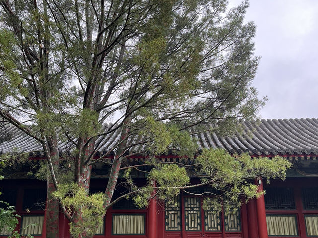 Soulful Beihai Park.