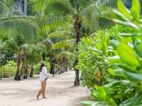 รีสอร์ทหรูบ้านต้นไม้ ได้ฟีลบาหลี TreeHouse Villas
