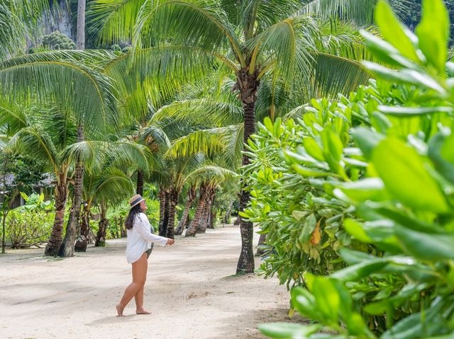 รีสอร์ทหรูบ้านต้นไม้ ได้ฟีลบาหลี TreeHouse Villas