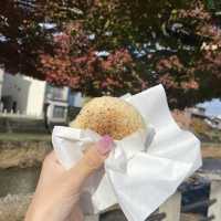 【高山】宮川朝市で朝から爆食止まらんかった🍽️