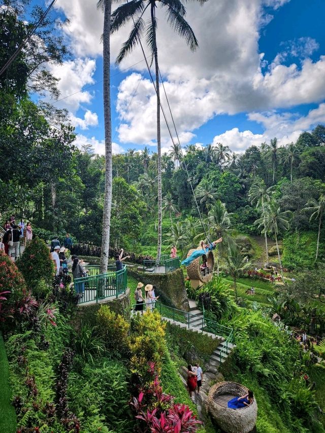 Alas Harum Ubud: Where Every Corner Screams Bali 🌿☕🌾
