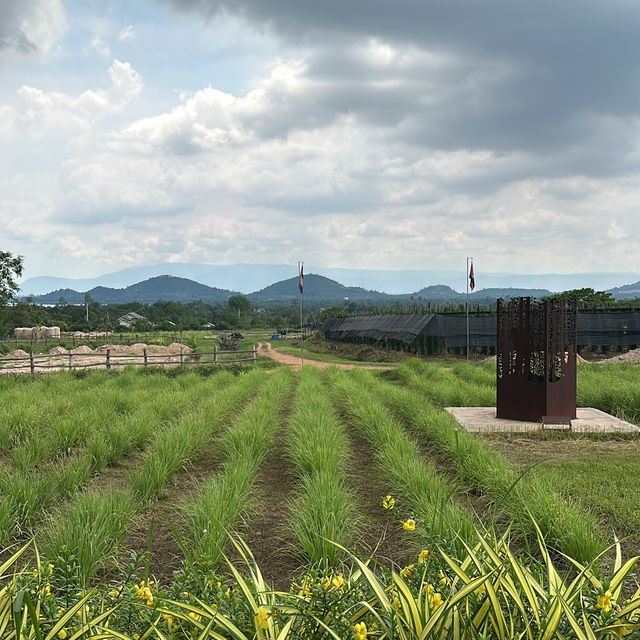 Kampot Paper Plantation 