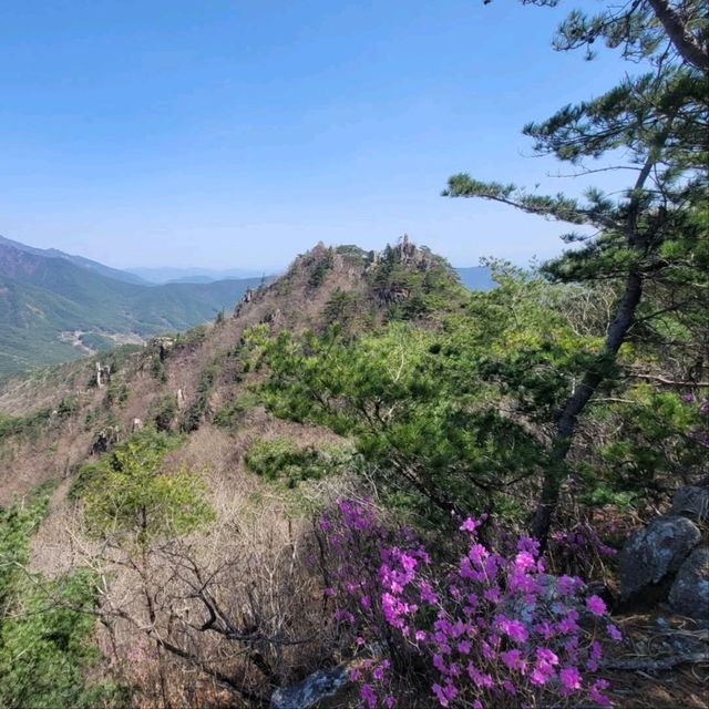 Rocky Trails & Temple Feels at Gayasan’s 