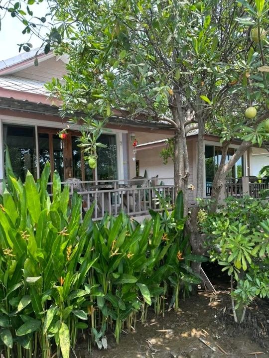 บ้านตุ่มรีสอร์ท/อัมพวา