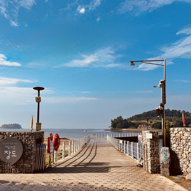 Jangdo Island, Yeosu: An Artistic Escape Where Nature Meets Creativity