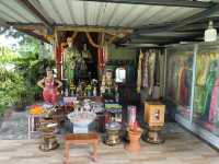 วัดสังกระต่าย วัดสวย อ่างทอง มหัศจรรย์ต้นโพธิ์ล้อม