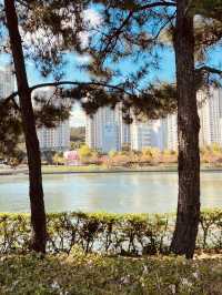Namcheon Seaside Park, Busan: A Tranquil Oasis for Post-Beach Relaxation