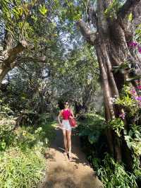 🌿✨ Discover Dantewada’s Land of Angels Waterfall Park – Chiang Mai’s Fairy‑Tale Escape ✨🌿