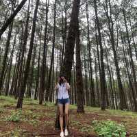 🌲Doi Bo Luang FIO – ที่พักกลางสวนป่าสน ในเชียงใหม่