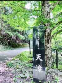 【天滝】まさに“天から落ちる滝”！自然の神秘に包まれる絶景ハイキング旅🌿🌈