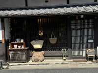 My Nara Deer Encounter: Cute Bows and Heartfelt Curry! 🦌🍛