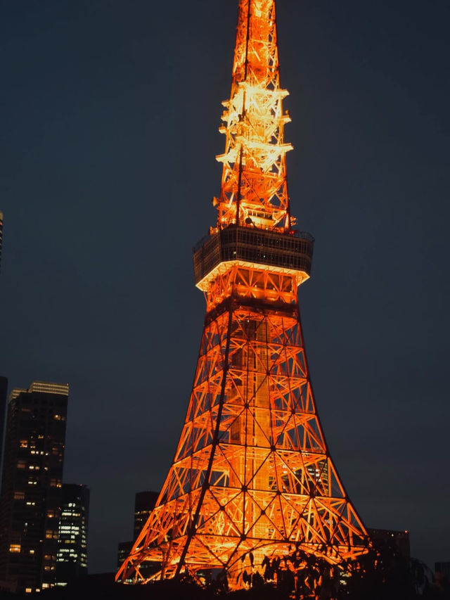 東京 東京タワー 🗼✨