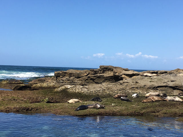 La Jolla Cove