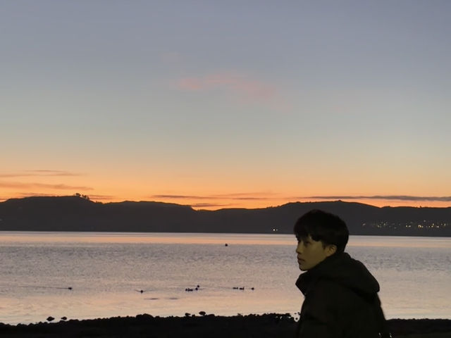 🌅紐西蘭陶波湖日落｜與鴨鴨靜賞黄金時刻✨
