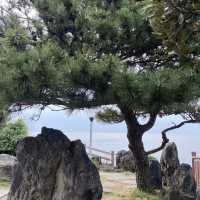Rocking the Summer: Yongduam Rock