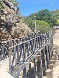 หาดเทียนเกาะล้านที่ไม่ควรพลาด น้องห่านน่ารัก