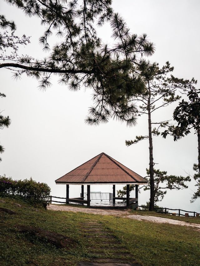 เที่ยวเลย อุทยานแห่งชาติภูเรือ ในฤดูฝน 