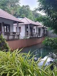 ติดเกาะช้างที่ โรงแรม Nature beach 