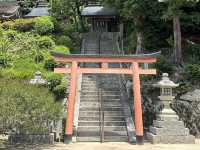 日本關西自駕遊 | 滋賀縣 | 白鬚神社