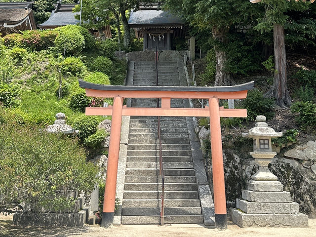 日本關西自駕遊 | 滋賀縣 | 白鬚神社