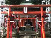 【雑司ヶ谷　鬼子母神　夏の朝の散歩】