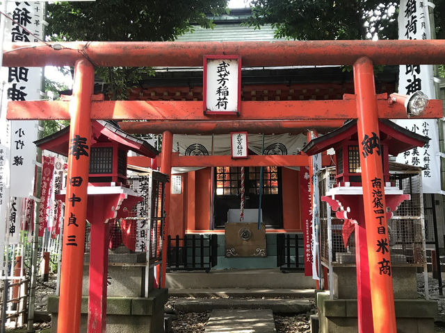 【雑司ヶ谷　鬼子母神　夏の朝の散歩】
