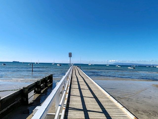 Cameron's Bight Boat Club：彩虹船与航海传奇