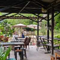 🌿 ปางไฮคอฟฟี่ช็อป (PangHai Coffee Shop) 🌿