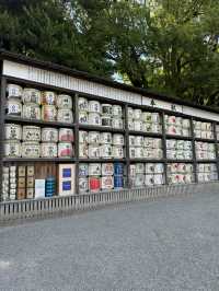 🏯⛩️ Kamakura Day Trip: Temples, Streets & Sea Breeze 🌸