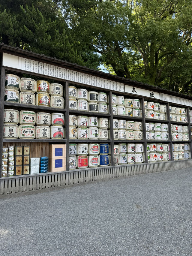 🏯⛩️ Kamakura Day Trip: Temples, Streets & Sea Breeze 🌸