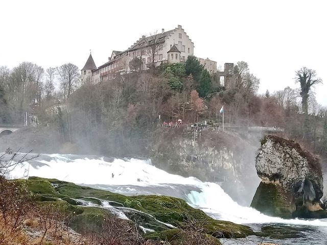 Rhine Falls Zurich is even nicer during christmas festival 