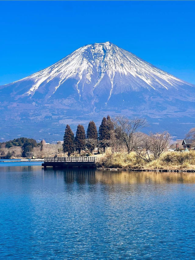 ทะเลสาบทานุกิ (Lake Tanuki)