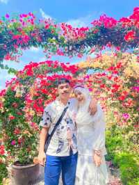 ไร่คุณอารียา (Ariya Flower Farm)
