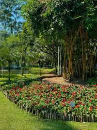 Temples, Markets & Vibes, Chiang Mai’s Got It All