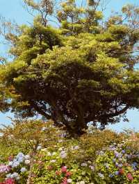 A Hidden Gem of Rugged Beauty and Volcanic Charm