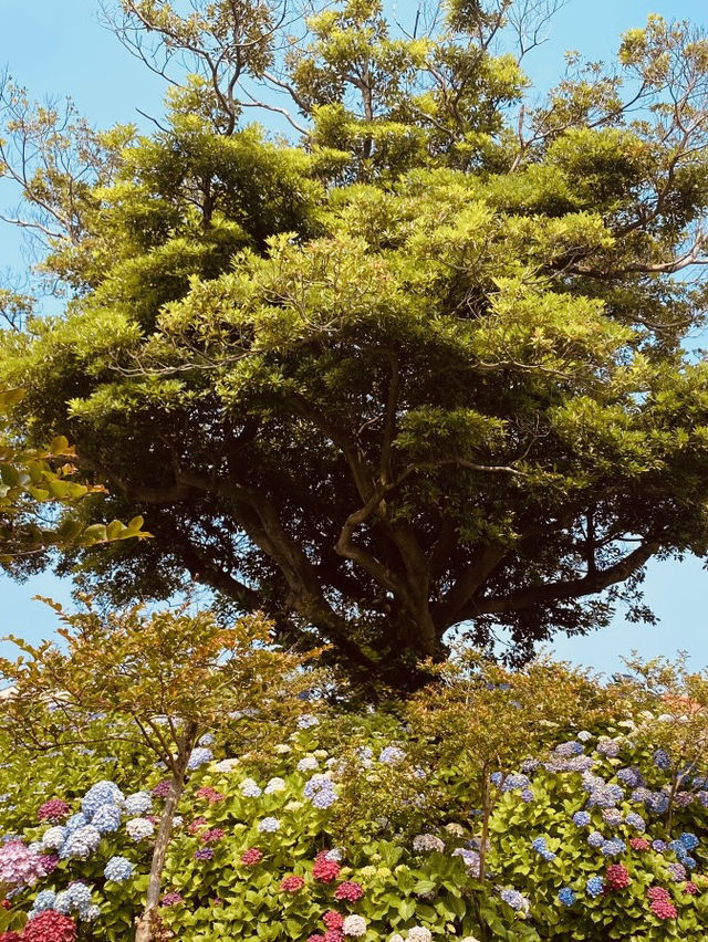 A Hidden Gem of Rugged Beauty and Volcanic Charm